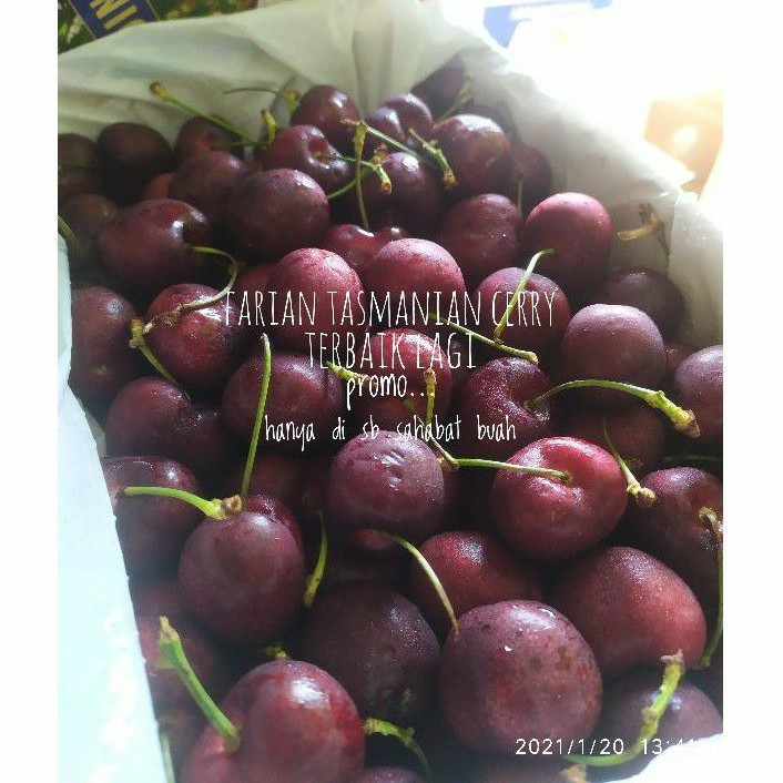 

UD BUAH 3 SAUDARA cherry australia tasmanian cherries 43° south 250GR