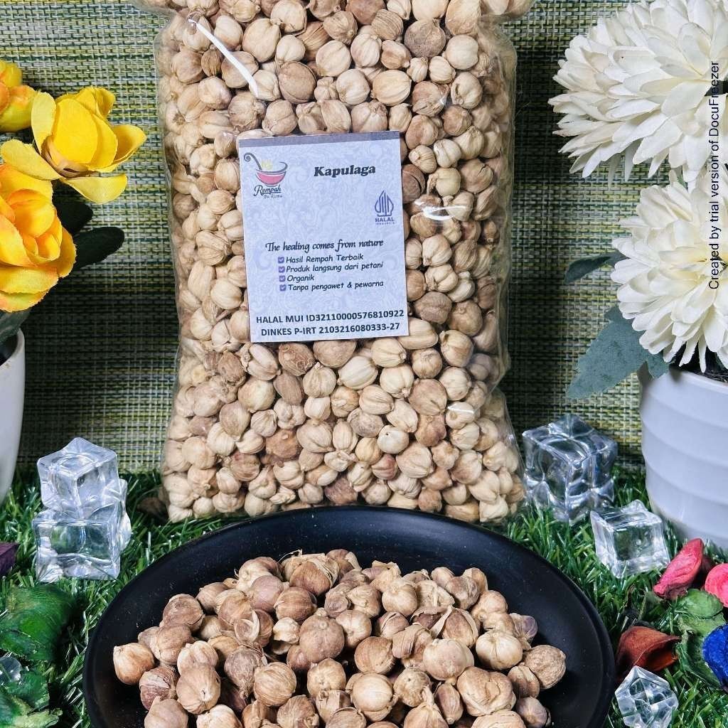 

COD Kapulaga Utuh Kering Super 100 Gram Rempah Bu Risma '