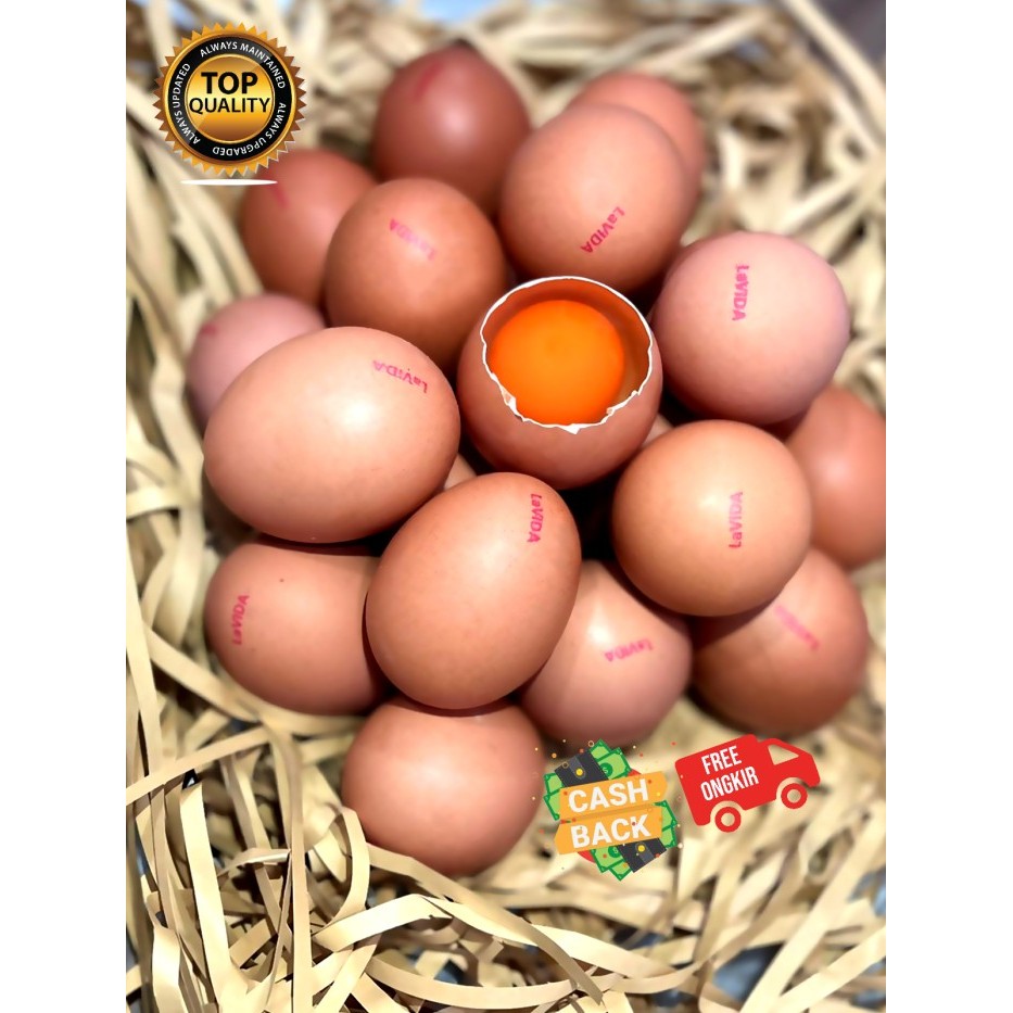 

Promo Telur LaVIDA OMEGA 3 Asli Bukan Suntikan - (30 Butir)