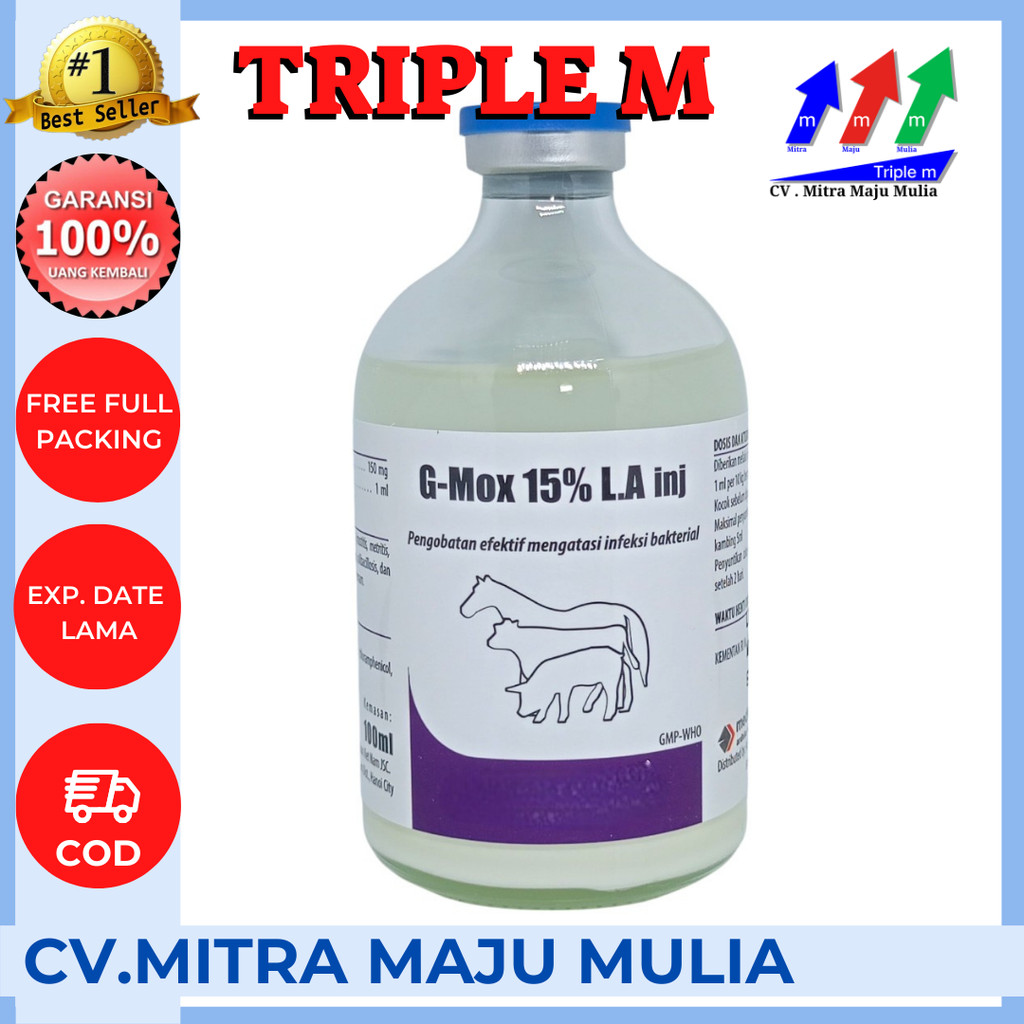 G-MOX 15% LA injek 100ml Anti biotik hewan besar