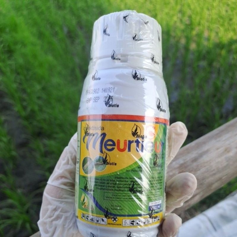 MEURTIEUR 250ML / MEURTIEUR 250 ML / MEURTIEUR INSEKTISIDA ORIGINAL