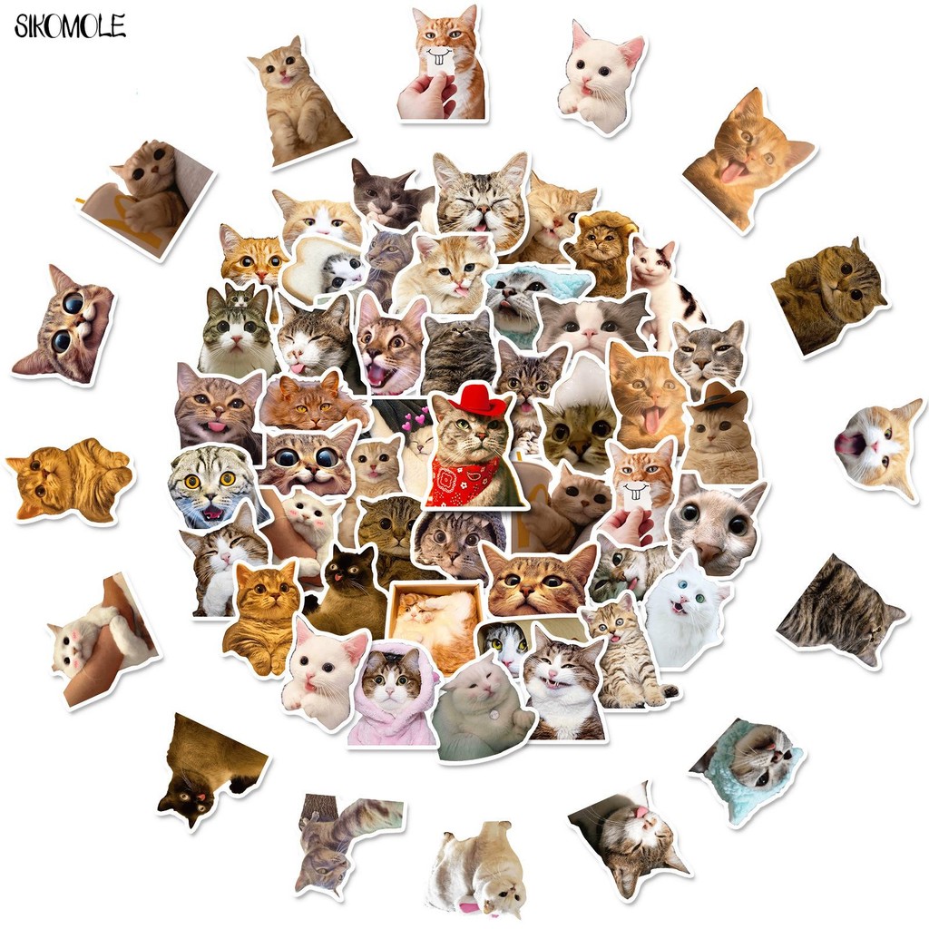 

10/30/50PCS Mix Cartoon Cat Stickers Expression Big Head Photo Animal For Children DIY Toy Travel Laptop Graffiti Sticker Decals