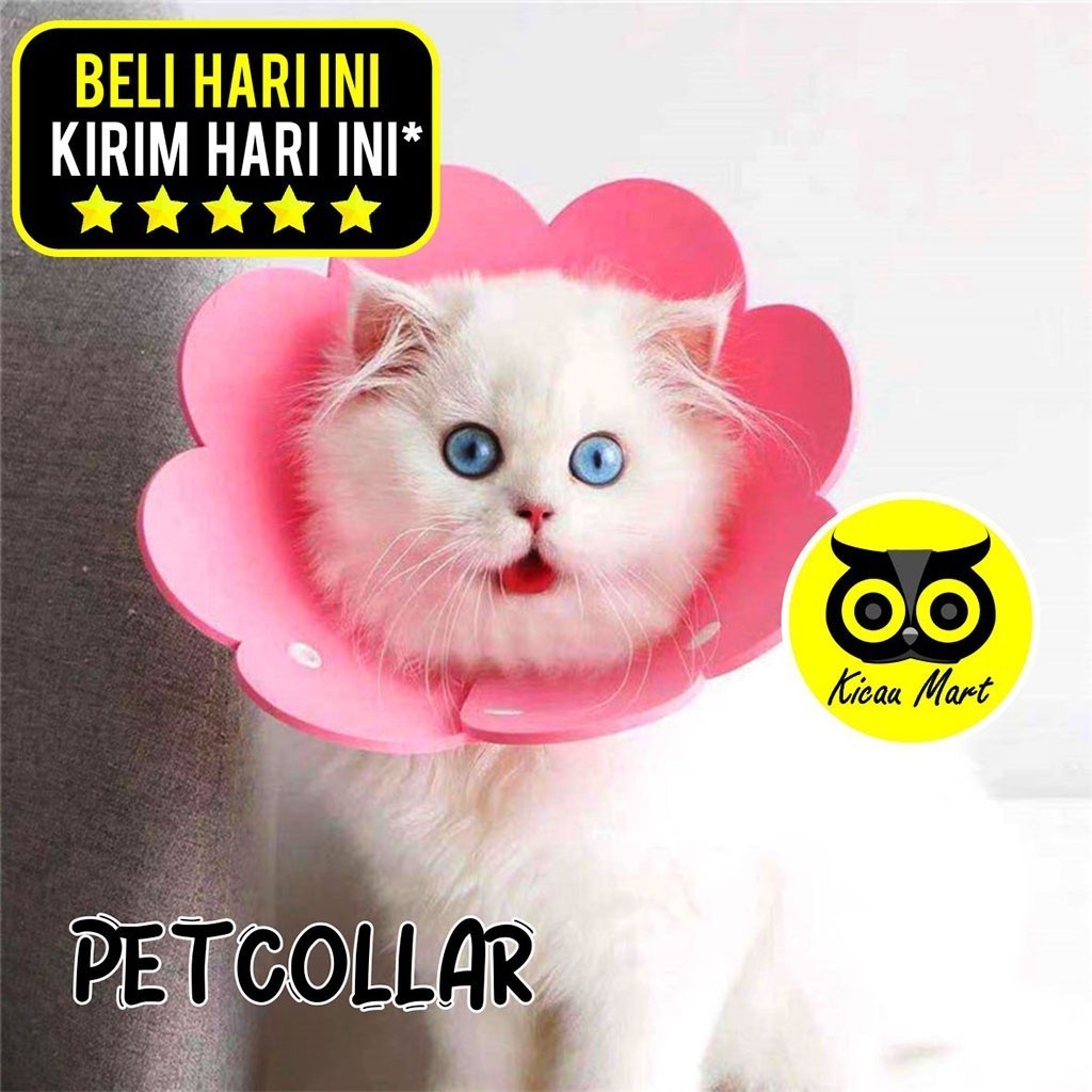 KICAU MART Collar Kucing Pet Colar Corong Leher Kucing Busa Penutup Kepala Anabul Lembut Halus Nyama