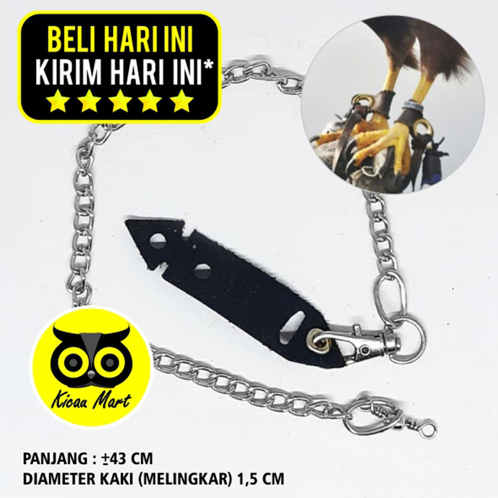 KICAU MART RANTAI BORGOL BESI UJUNG KULIT PENGIKAT KAKI BURUNG ELANG KAKATUA GREY PARROT MACAU SUN C