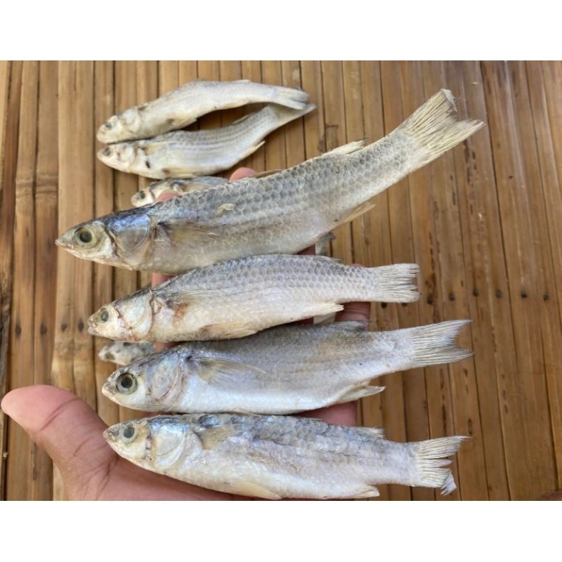 

TERMURAH Termurah.. Ikan Belanak Asin / Ikan Padet Murah 1kg