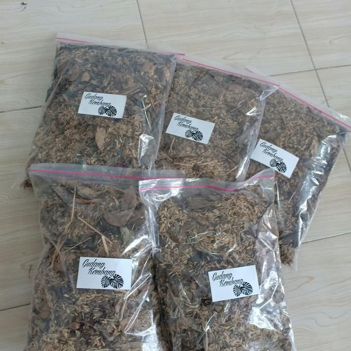 MEDIA TANAM AJAIB (media tanaman monstera, philodendron all tanaman)