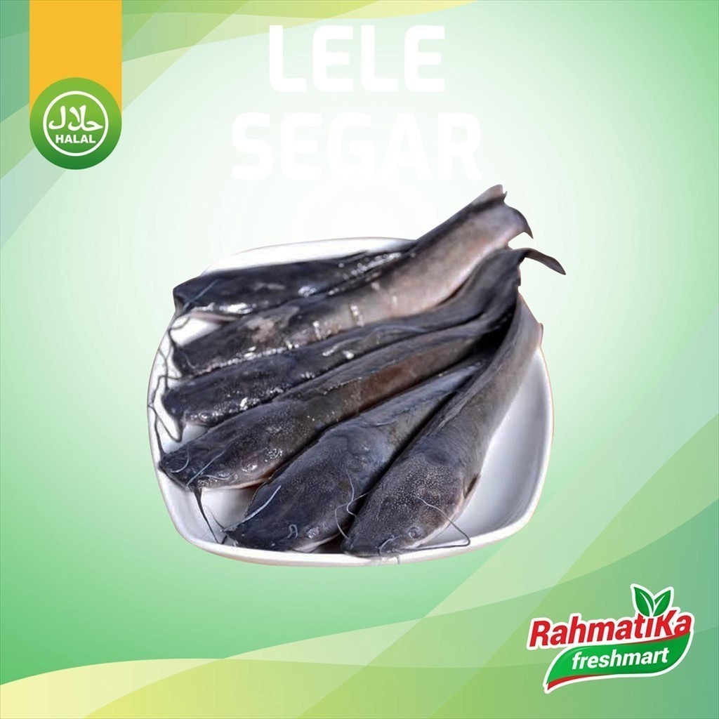 

Ikan Lele Segar 1 kg