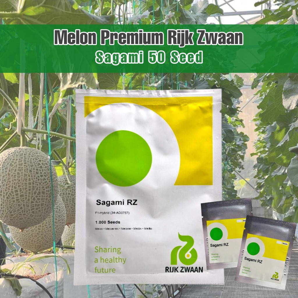 Benih Melon Sagami RZ Kemasan Repack 50 Butir Melon Premium Rijk Zwaan