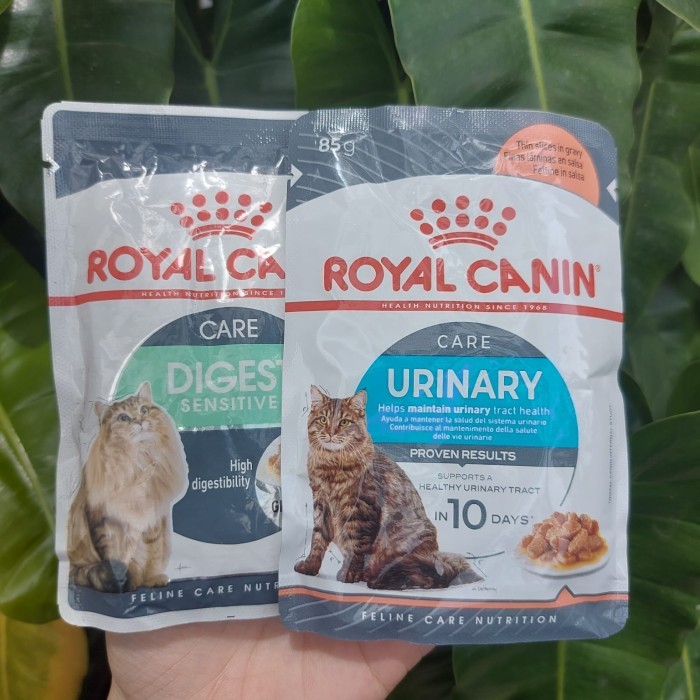 Makanan Kucing Basah Royal Canin Urinary Care Pouch