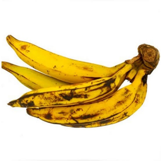 

Pusang tanduk super pcs | Buah pusang tanduk bagus