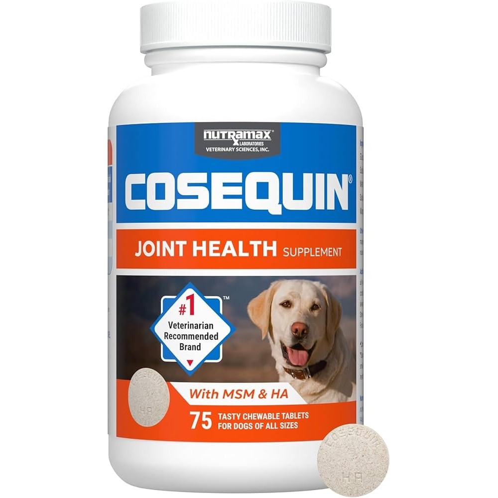 Nutramax Cosequin Joint Health Supplement Dogs Glucosamine Chondroitin MSM HA Suplemen Sendi Anjing