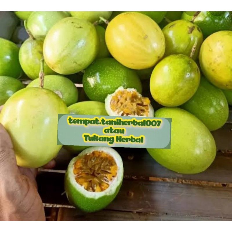

Buah markisa/Buah langka/buah markisa kuning/selalu Ready stok 1kg