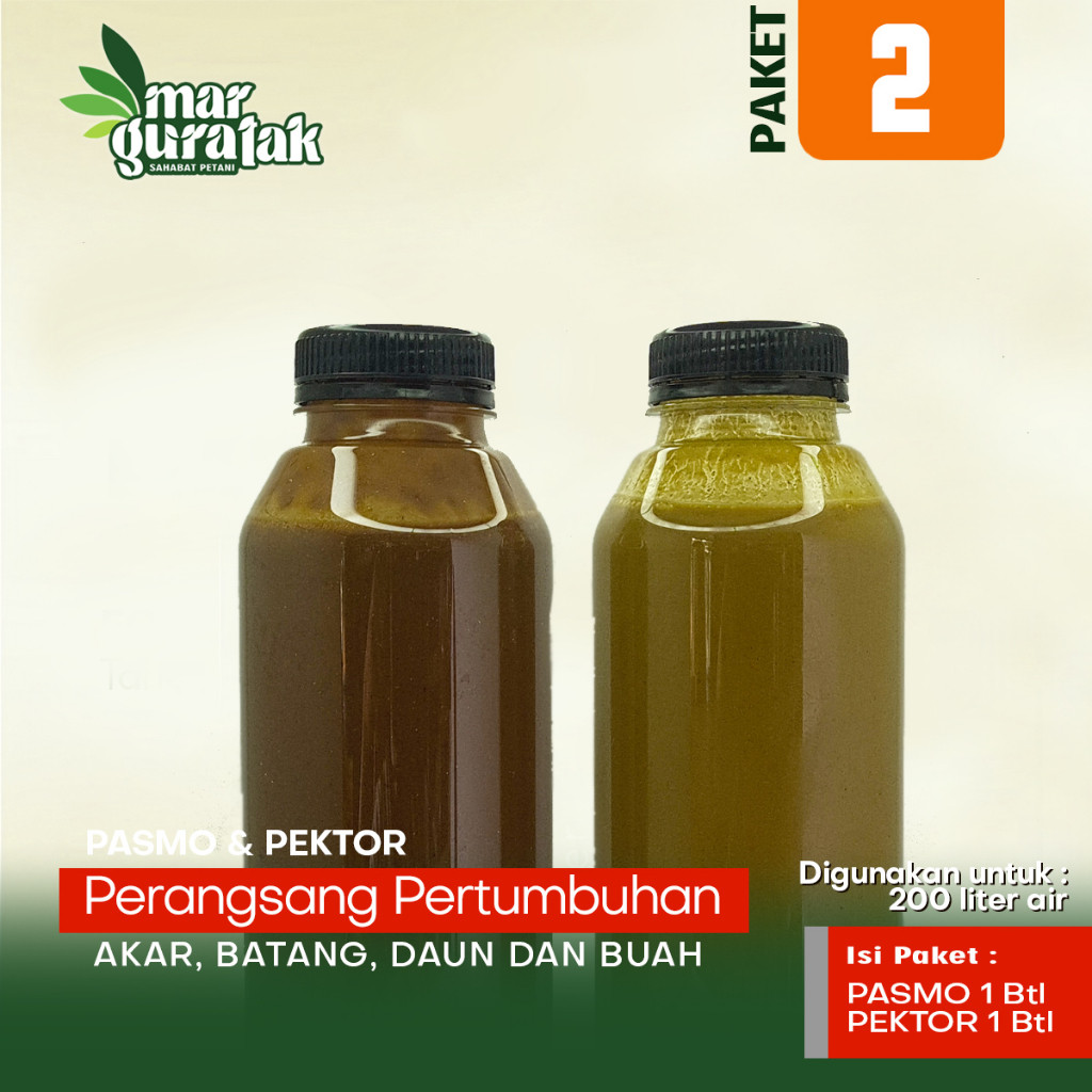 PROMO / PAKET PASMO DAN PEKTOR NEW