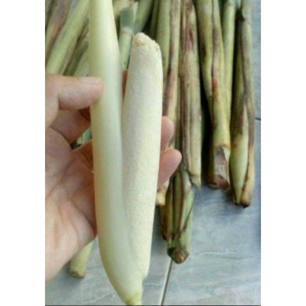 

Ready stok New turubuk sayur segar 500gram