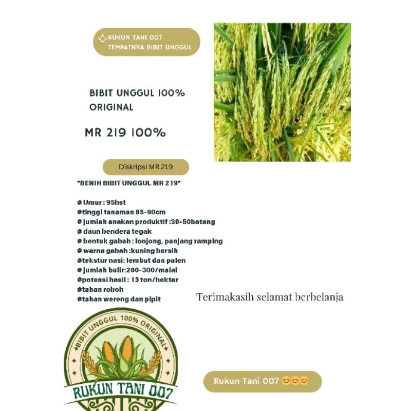Bibit Benih Padi Mr219 original kemasan 5kg
