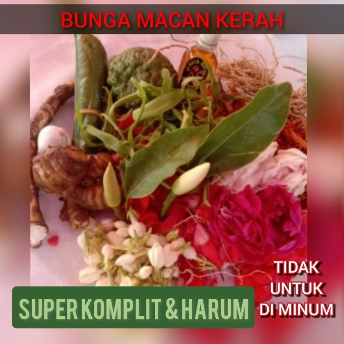 kembanga macan kerah bunga mandi komplit dan wangi