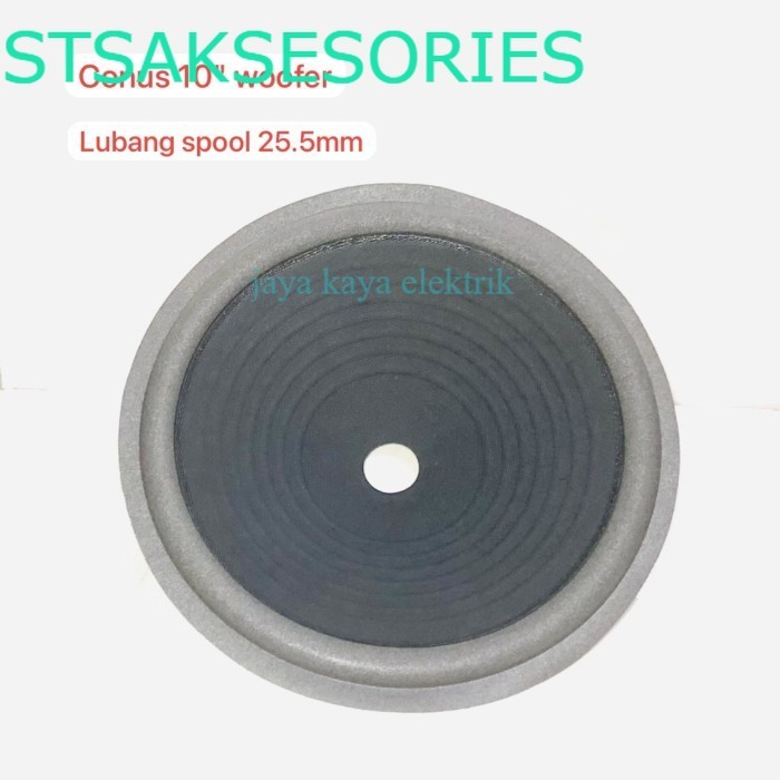 Daun Speaker Conus Speaker 10 inch Woofer Lubang Kecil