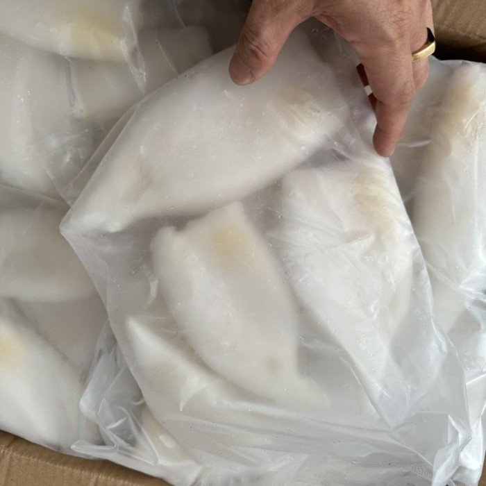 

Cumi tube kupas bersih segar beku kemasan 1 kg - SIZE 5-7