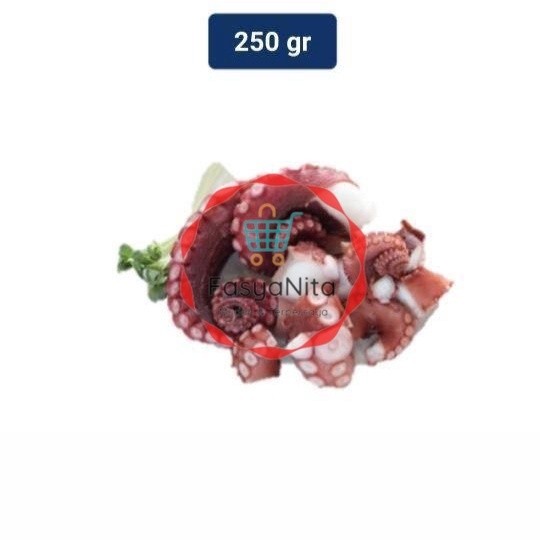 

Octopus Cut 250 Gr - Fasyanita Denpasar