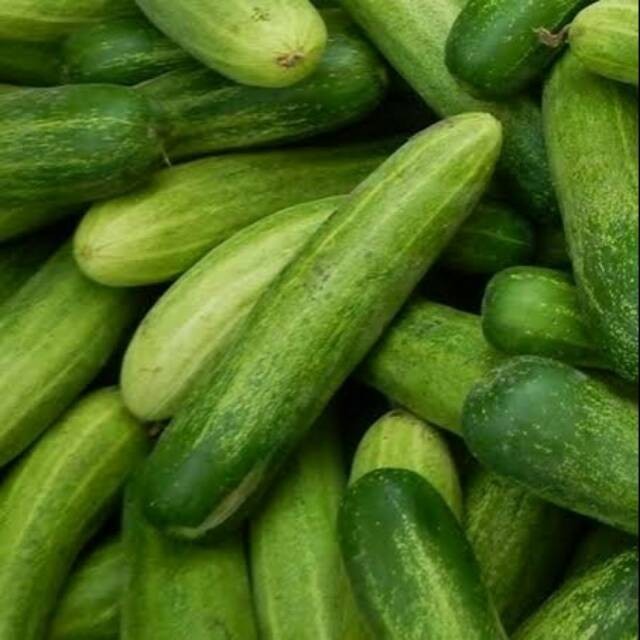 

Timun Segar 500 gr [ PREMIUM ]