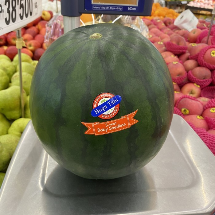 

Semangka Bogatani Sweet Seedlees | Buah semangka manis fresh 4,5 kg