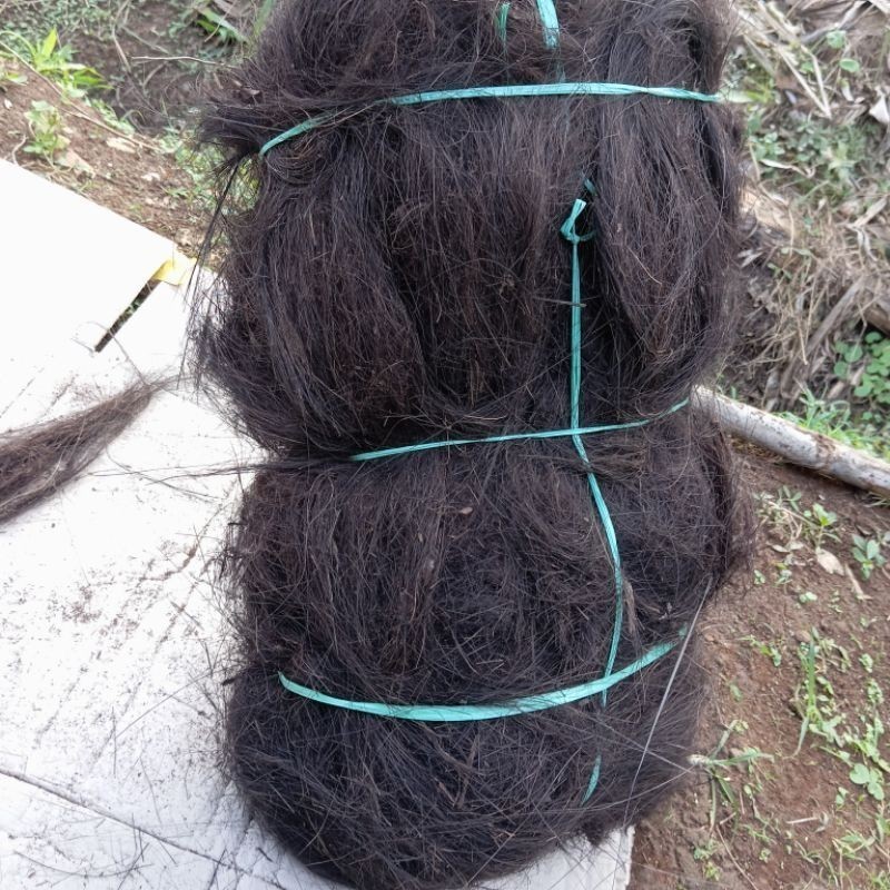 NEW... Ijuk aren resapan /ijuk aren filter air/ijuk aren//ijuk septictank/ijuk kakaban