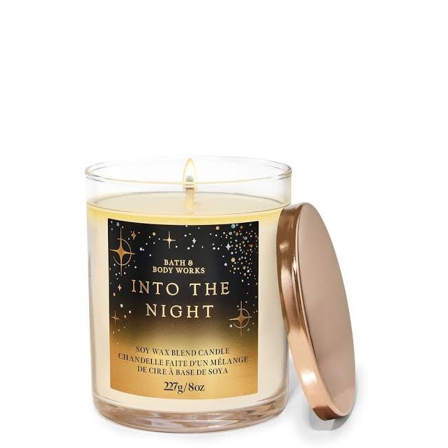 Bath and Body Works BBW Candle Into The Night 1 wick / Candle Medium