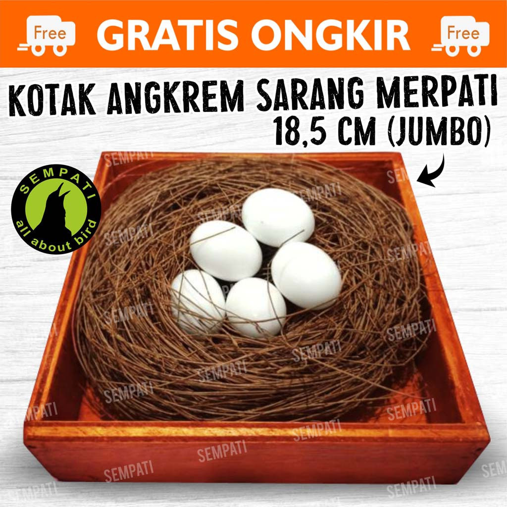 SEMPATI TEMPAT TELUR MERPATI SARANG MERPATI KOTAK SARANG NGERAM TELUR BURUNG KENARI KOTAK BERTELUR T
