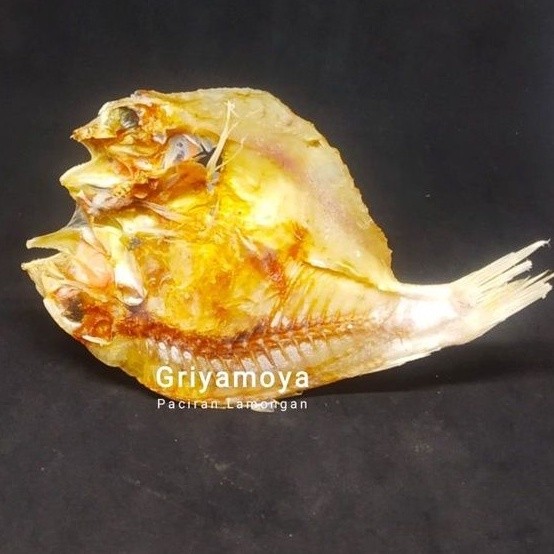 

TERMURAH Ikan asin Kuniran belah istimewa
