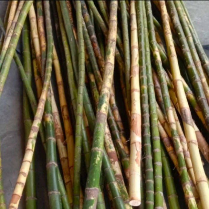 Batang Waregu Bahan Joran Pancing 120cm