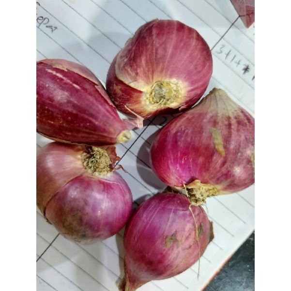

BAWANG MERAH SUPER 100GR