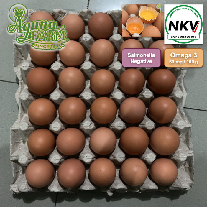 

Telur Ayam Negri Negeri per 1 papan 30 butir Segar dari Kandang NKV