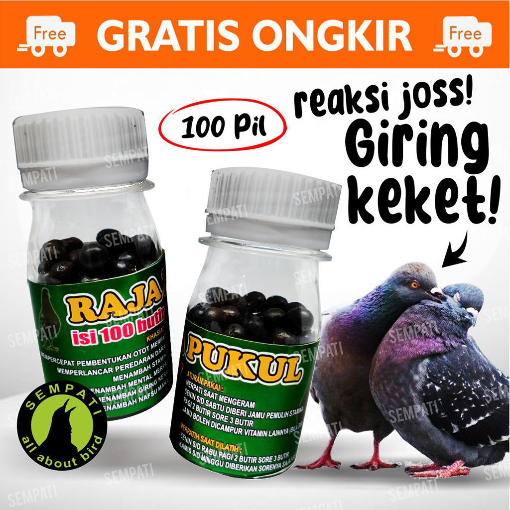 SEMPATI ISI 100 BUTIR JAMU MERPATI RAJA PUKUL-JAMU MERPATI BALAP-MERPATI KOLONG-MERPATI TINGGI VTRPK