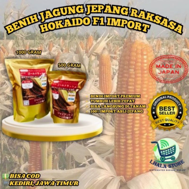 [IMPORT] BENIH JAGUNG RAKSASA