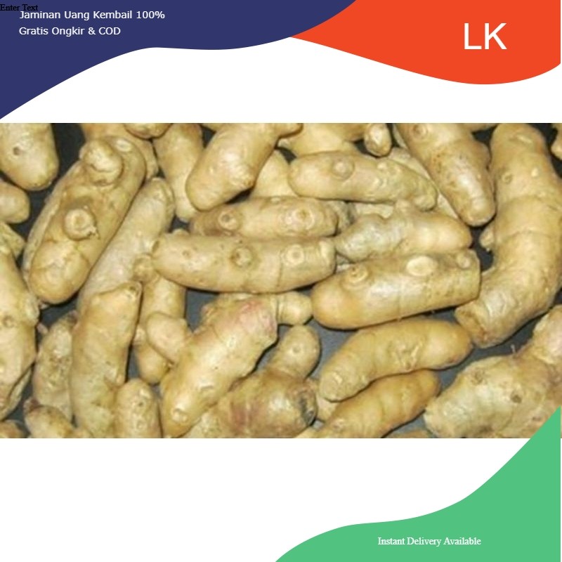 

kunyit putih segar asli 500g