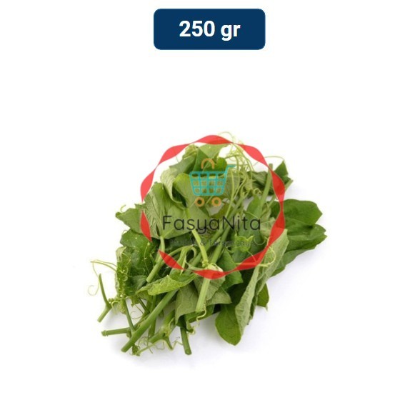 

Pucuk Labu Siam 250 gr - Fasyanita Denpasar