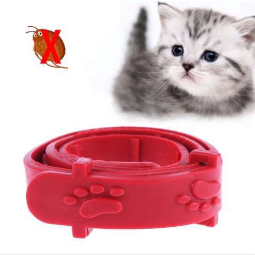 Kalung kutu kucing / kalung anti kutu kucing / aksesoris kucing / obat kutu kucing