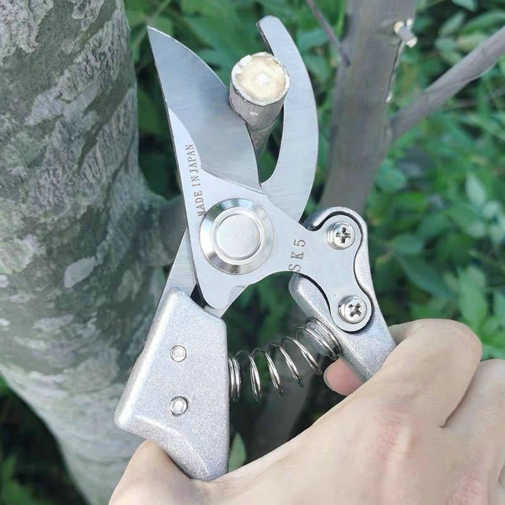 Gunting dahan ranting kapusi original Gunting pruning durian Gunting Bonsai Kapusi Japan stainless s