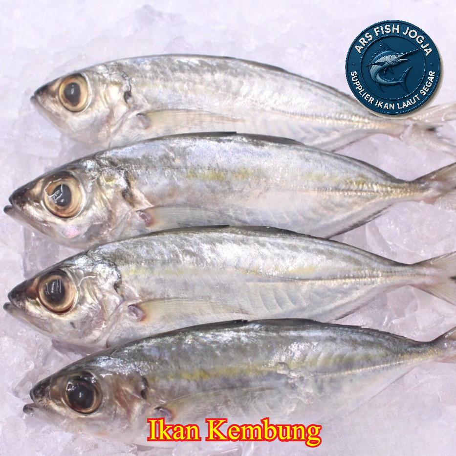 

Ikan Kembung 1kg