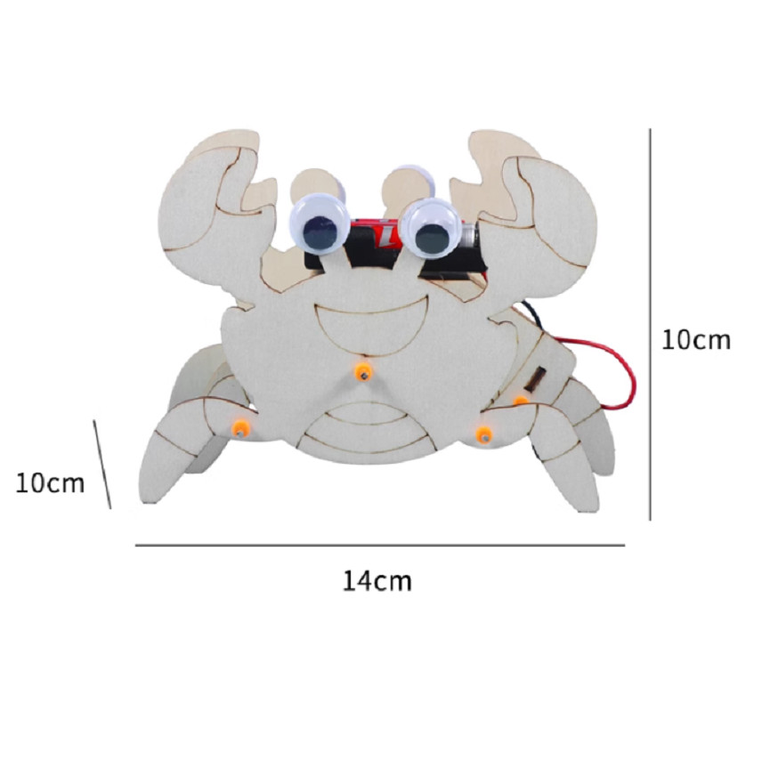 023 DIY - Crab - Proyek Kit Edukatif Sains STEM untuk Anak Eksperimen - Pembelajaran Robotika dengan