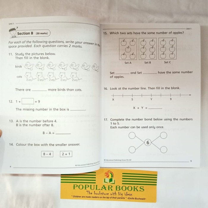 

Challenging 4 in 1 Maths - Primary 1