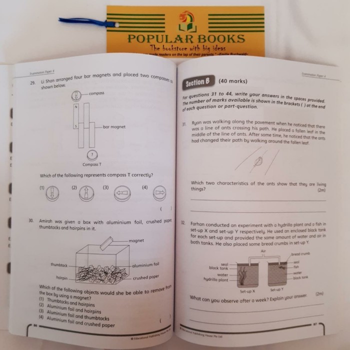 

P3 Top of the Pack Science Examination Papers