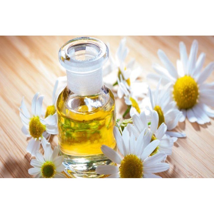 

Chamomile Essential / Chamomile oil (10ml)