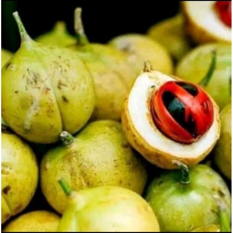 

.,,,Buah pala segar fres 1kg herbal . obat obatan tanpa kupas