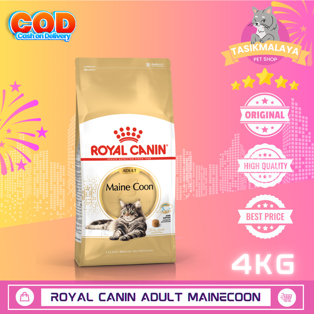 ROYAL CANIN MAINE COON ADULT 4KG