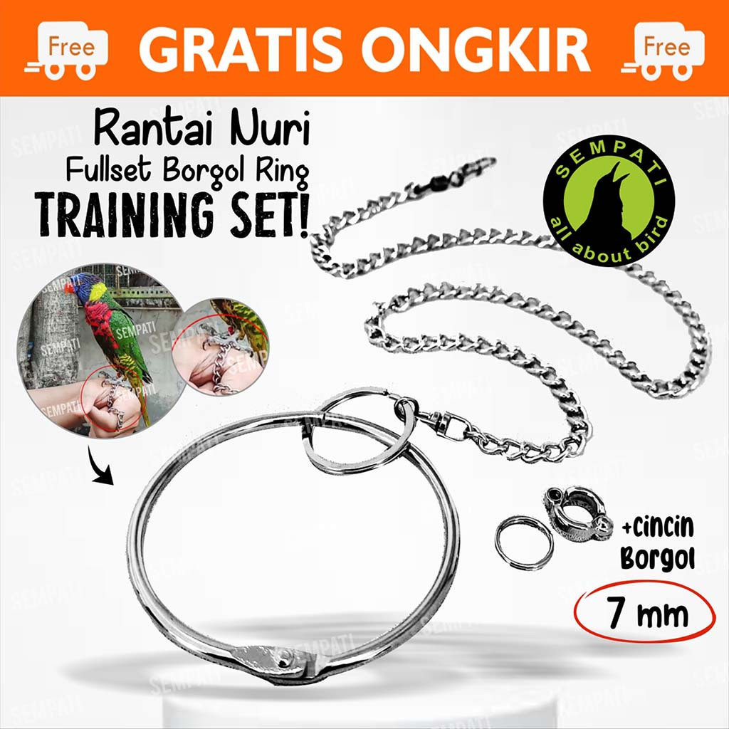 SEMPATI RANTAI KAKI BURUNG NURI PELANGI PUTER PELUNG TEKUKUR DERKUKU FULLSET GELANG RING BORGOL 7 MM