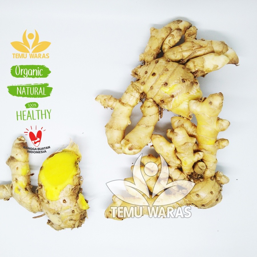 

Temu Mangga Segar 500gr Organik Asli Gunung Kidul - Aroma Mangga Muda ready