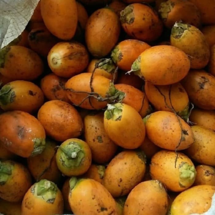 

Ready stok Buah Pinang Tua asli 1 kg buah jambe tua murah
