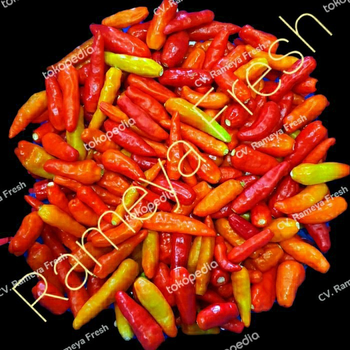 

Cabe Rawit Merah 1kg 1 kg Petik