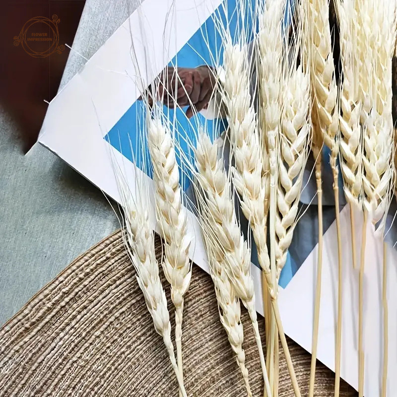

White Dried Wheat Stalks Bouquet Dry Flowers DIY Flower Arrangements Christmas Home Wedding Table Decor Boho Home Decoration